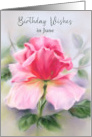 Birthday in June Pink Rose Soft Pastel Custom card