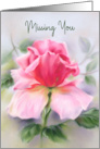 Missing You Pink Rose Soft Pastel Art card