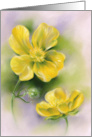 Any Occasion Buttercups Yellow Wildflowers Pastel Art Blank card