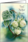 Feel Better Soon Green Filberts on Branch Botanical Art card