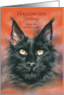 Halloween from Our Home Spooky Black Cat Portrait Custom card