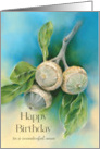 Birthday for Him Live Oak Acorns and Leaves Custom card