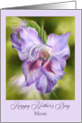 Mothers Day for Mom Purple Gladiolus Flower Art Custom card