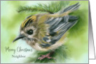 Christmas for Neighbor Little Goldcrest Bird in Evergreen Personalized card
