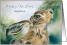 Christmas for Grandson Hare Wildlife in Winter Personalized card