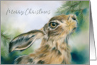 Merry Christmas Hare Wildlife in Winter Pastel Animal Art card