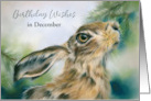 Birthday Wishes in December Hare Wildlife in Winter Custom Month card