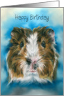 Happy Birthday Tricolor Guinea Pig on Blue card
