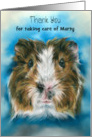 Thank you for Pet Sitting Tricolor Guinea Pig on Blue Personalized card