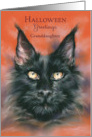 Halloween for Granddaughter Spooky Black Cat Portrait Custom card