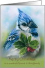 For Friend and Family Christmas Blue Jay with Holly Pastel Custom card