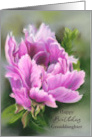 For Granddaughter Birthday Pretty Pink Peony Flower Pastel Custom card