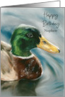 Birthday for Nephew Mallard Duck on Water Bird Art Custom card
