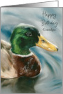 Birthday for Grandfather Mallard Duck on Water Bird Art Custom card