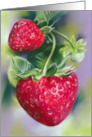 Any Occasion Strawberries Pastel Art Blank card