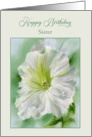 For Sister Birthday White Petunia Flower Pastel Custom card