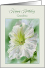 For Grandmother Birthday White Petunia Flower Pastel Custom card