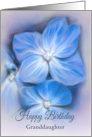 For Granddaughter Birthday Blue Hydrangea Pastel Floral Art Custom card