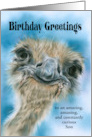 For Son Birthday Ostrich Curious Bird Art Personalized Relative card