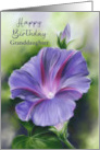For Granddaughter Birthday Purple Morning Glory Flower Custom card