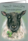 Granddaughter St Patricks Day Whimsical Sheep with Shamrocks Custom card