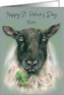 For Son St Patricks Day Whimsical Sheep with Shamrocks Custom card