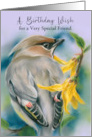 For Friend Birthday Cedar Waxwing Bird with Forsythia Custom card