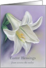 From Across the Miles White Easter Lily on Purple Custom card
