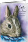 For Grandson Easter Bunny in a Blue Basket Custom card