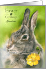 For Grandson Easter Wild Bunny Rabbit Buttercup Custom card