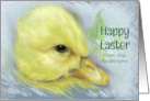 Easter from Our Family Personalized Cute Yellow Duckling card