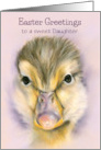 Easter Greetings Daughter Sweet Yellow Duckling Custom card