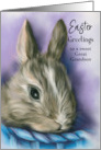 For Great Grandson Easter Bunny in a Blue Basket Custom card