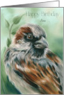 For Son Birthday Brown Sparrow Bird Art Custom card