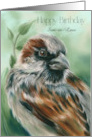 For Son in Law Birthday Brown Sparrow Bird Art Custom card