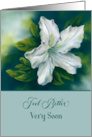 Feel Better Soon White Azalea Flower Pastel card