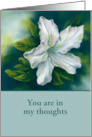 Thinking of You White Azalea Flower Blank Inside Custom card