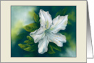Any Occasion White Azalea Flower Pastel Art Blank card