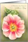 Mothers Day Pink and Red Primrose with Leaf Pastel card