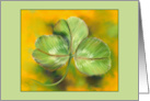 Any Occasion Sunny Green Clover Pastel Art Blank card