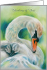 Thinking of You Swan and Young One Personalized Blank Inside card