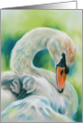 Any Occasion Swan and Young One Pastel Art Blank card
