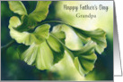 Fathers Day for Grandfather Sunlit Green Ginkgo Leaves Custom card