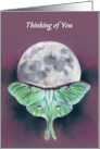 Thinking of You Luna Moth and Moon Custom card