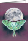 Any Occasion Luna Moth and Moon Pastel Art Blank card