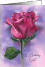 Birthday Wish Deep Pink Rose on Purple Flower Art card