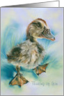 Thinking of You Cute Duckling Taking a Stroll Custom card