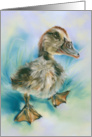 Any Occasion Cute Duckling Taking a Stroll Pastel Art Blank card