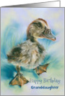 Granddaughter Birthday Cute Duckling Taking a Stroll Custom card