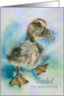Thank You for Anything Duckling Taking a Stroll Custom card